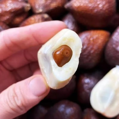 广州江南批发直发【顺丰】印尼蛇皮果新鲜稀奇古怪进口水果1-5斤