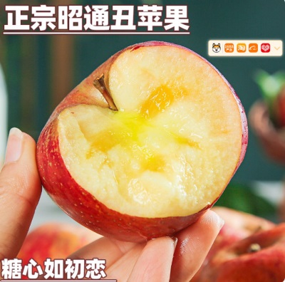 2025云南昭通丑苹果新鲜昭通市冰糖心丑苹果红富士孕妇水果当季