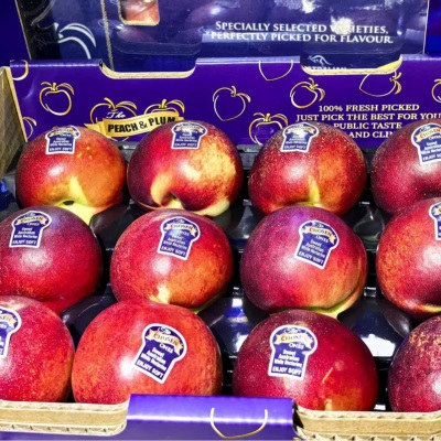 广州江南批发直发（顺丰）澳洲白肉油桃高端礼盒装脆甜特级