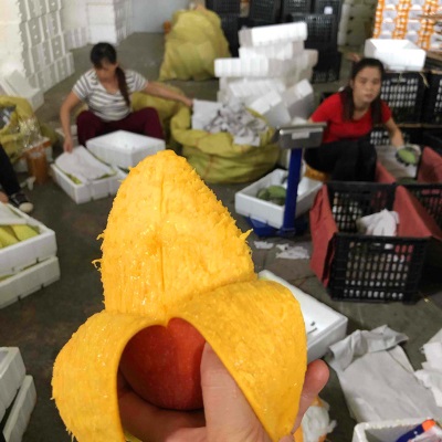 贵妃芒新鲜水果海南芒果当季水果红金龙贵妃芒果现摘现发香甜多汁