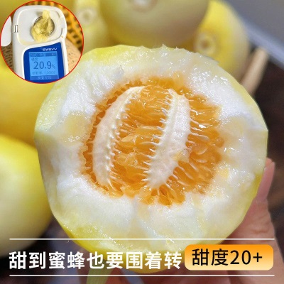 现货2026年山东蜜罐小蜜蜂冰糖脆甜瓜新鲜水果当季时令香瓜甜多汁