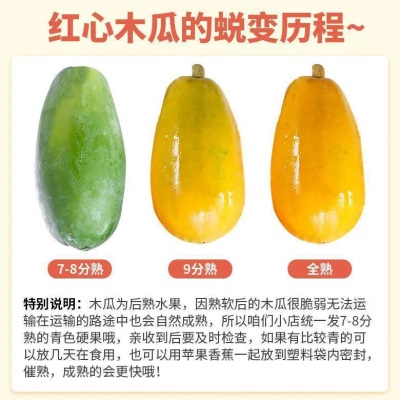 爆甜红心木瓜新鲜孕妇水果批发牛奶冰糖心木瓜树上熟正宗大果包邮