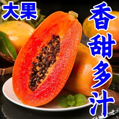 广西红心水果木瓜新鲜下孕妇水果牛奶树上熟冰糖酸青木瓜海南云南