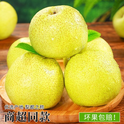 热卖安徽砀山酥梨10斤梨子新鲜水果应当季整箱包邮特产香梨脆