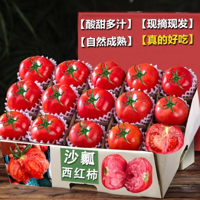 正宗沙瓤西红柿产地直发新鲜现摘精选自然熟生吃好吃整箱番茄农家