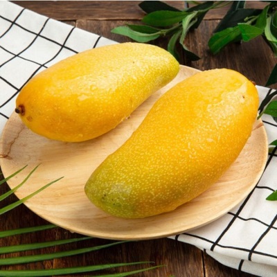 金煌芒海南新鲜当季热带水果水仙芒黄皮大芒果现摘一件代发