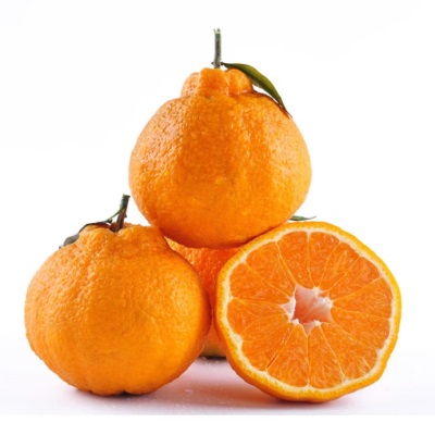 正宗四川眉山不知火丑八怪丑橘新鲜水果应季生鲜水果