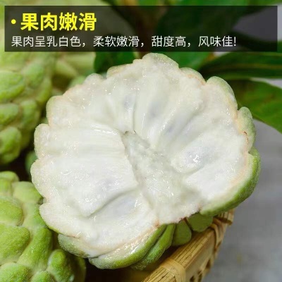 广州江南批发直发【】台湾释迦果进口番荔枝10斤鲜果水果特级