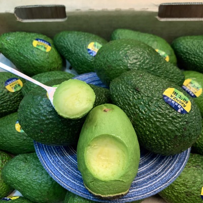 广州江南批发直发【顺丰】巨无霸牛油果新鲜当季水果超大特级