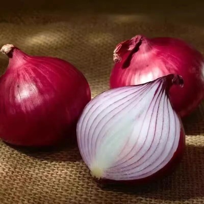 云南紫皮洋葱新鲜脆甜水果洋葱圆葱蔬菜红皮特产农家现挖农家自种