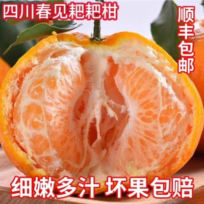 顺丰包四川粑粑柑正宗春见耙耙柑新鲜水果橘子应季杷杷柑产地直发