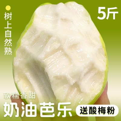 广西番石榴白心芭乐冰淇淋口感当季新鲜水果应季软糯脆甜整箱包