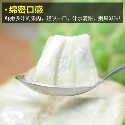 广州江南批发直发【】台湾释迦果进口番荔枝10斤鲜果水果特级