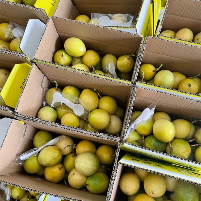 黄金百香果钦蜜9号源头直采广西香甜多汁现摘当季水果直采钦蜜9号