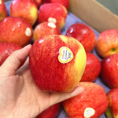 广州江南批发直发【顺丰】美国进口神仙果苹果Ambrosia美国脆