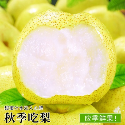 热卖安徽砀山酥梨10斤梨子新鲜水果应当季整箱包邮特产香梨脆