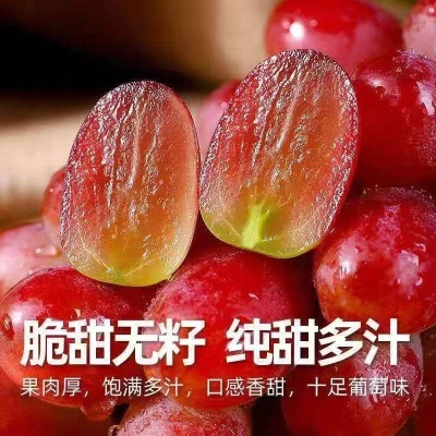 无籽红提克伦生提子葡萄5斤净重新鲜水果整串紫提子孕妇小孩水果