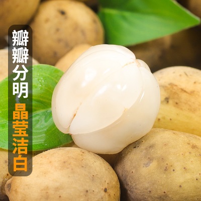 广州江南批发直发【顺丰】泰国进口龙宫果爱情果龙贡果稀有水果