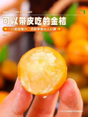 融安小包邮蜜斤当季水果脆皮橘子新鲜金桔纯甜孕妇金柑整箱10广西