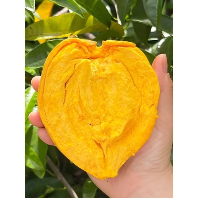 海南蛋黄果新鲜5斤粉糯鸡蛋果热带水果当季现摘热带特产狮头果