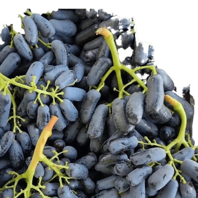 蓝宝石葡萄金手指美人指葡萄新鲜水果无籽葡萄黑提子批发商用包邮