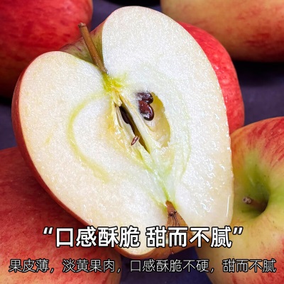 广州江南批发直发【顺丰】新西兰索尼娅苹果SONYA新鲜12颗礼盒装