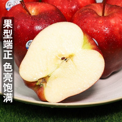 广州江南批发直发【顺丰】美国进口红蛇果大果水果脆甜苹果特级