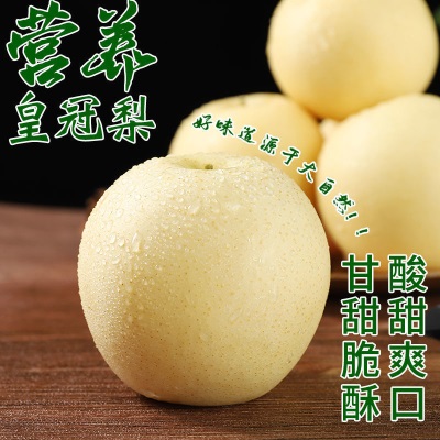 整箱皇冠梨河北斤斤代发雪梨当季砀山梨3梨子10新鲜水果酥梨非5斤