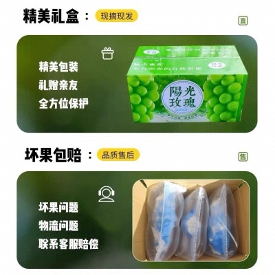 阳光玫瑰葡萄新鲜水果晴王提子青提大果整串国产整箱批发