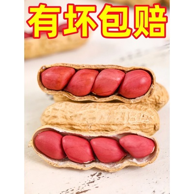 四粒红带壳红皮花生5斤2026新货新鲜干花生米红衣农家自种生花生