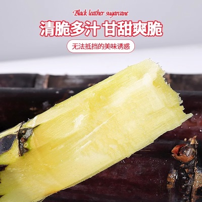 广西黑皮甘蔗9斤精选中段新鲜孕妇水果应当季脆甜多汁甜杆蔗特产