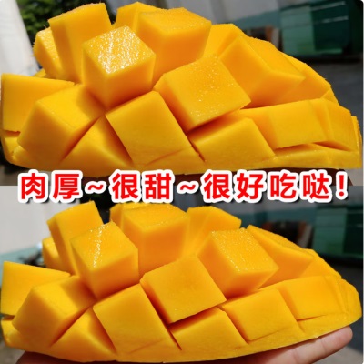 越南品种大青芒果新鲜当季现摘特大整箱青皮水果芒果仓库直发