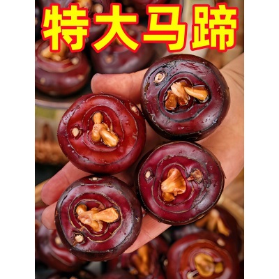 广西大马蹄荸荠新鲜即食当季水果蔬菜珍珠马蹄果现挖脆甜整箱包邮