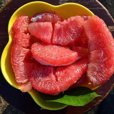 产地供应9斤装福建红心蜜柚产地直发当季应季新鲜水果红心柚子