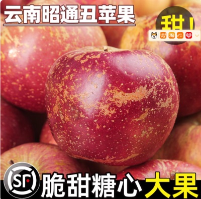 2025云南昭通丑苹果新鲜昭通市冰糖心丑苹果红富士孕妇水果当季