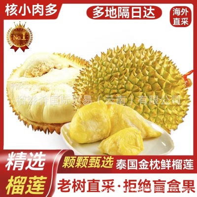 泰国金枕榴莲现货整个带壳新鲜榴莲  一件代发