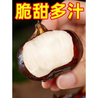 广西大马蹄荸荠新鲜即食当季水果蔬菜珍珠马蹄果现挖脆甜整箱包邮