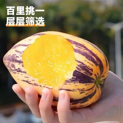 【沙漠包邮】甘肃民勤沙漠人参果黄肉人生果新鲜应季产地直发包邮