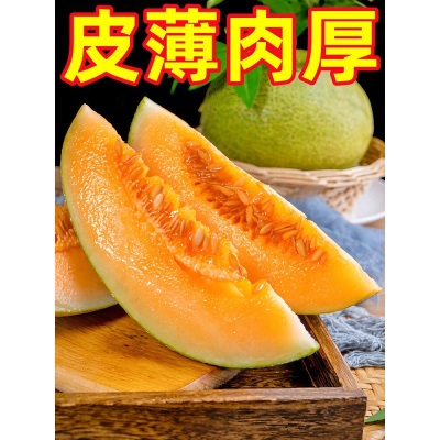 海南哈密瓜新鲜脆甜9斤水果疆西州蜜瓜25号老汉瓜一整箱网纹甜瓜
