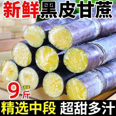 广西黑皮甘蔗9斤精选中段新鲜孕妇水果应当季脆甜多汁甜杆蔗特产