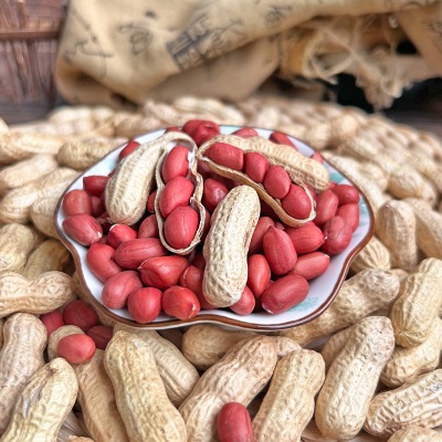 带壳红皮花生2025新货农家新鲜四粒红花生米自然晒干种子生的新货