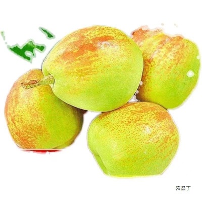 整箱应季库尔勒香梨红香酥梨子5310新疆酥梨新鲜水果斤批薄陕西