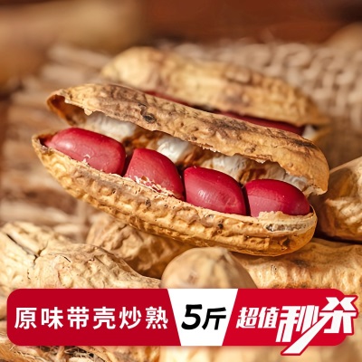 四粒红带壳红皮花生5斤2026新货新鲜干花生米红衣农家自种生花生