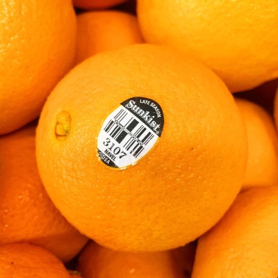 广州江南直发【顺丰进口新奇士3107黑标脐橙Sunkist甜橙鲜果多汁