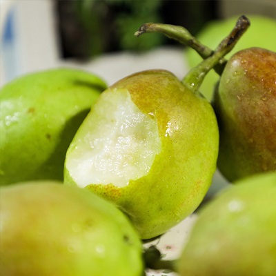 正宗新疆直发库尔勒香梨脆甜新鲜水果母梨当季孕妇应季整箱斤批发