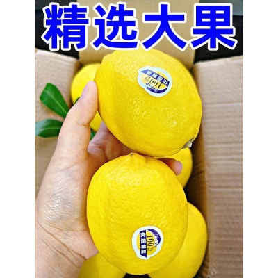 四川安岳黄柠檬新鲜9斤鲜果香水柠檬商用榨汁批发奶茶店专用大果