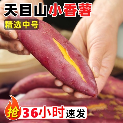 临安天目山小香薯正宗板栗红薯新鲜农家自种小番薯地瓜蜜薯旗舰店