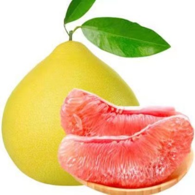 产地供应9斤装福建红心蜜柚产地直发当季应季新鲜水果红心柚子