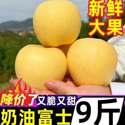 山东烟台黄金奶油富士新鲜9斤应当季水果脆甜冰糖心奶油苹果整箱
