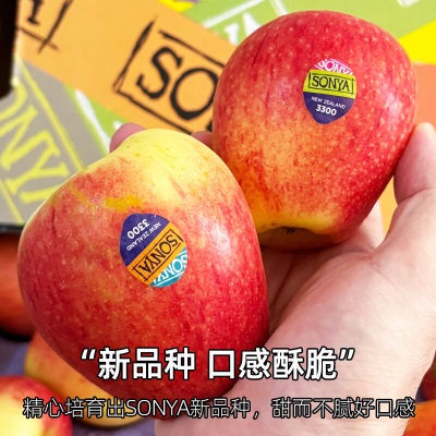 广州江南批发直发【顺丰】新西兰索尼娅苹果SONYA新鲜12颗礼盒装